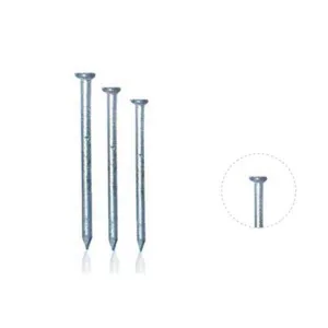 BIL Nails Flat Head Galv 75mm x 1kg