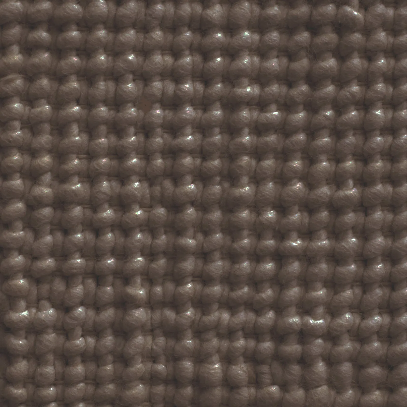 Collect Rug
