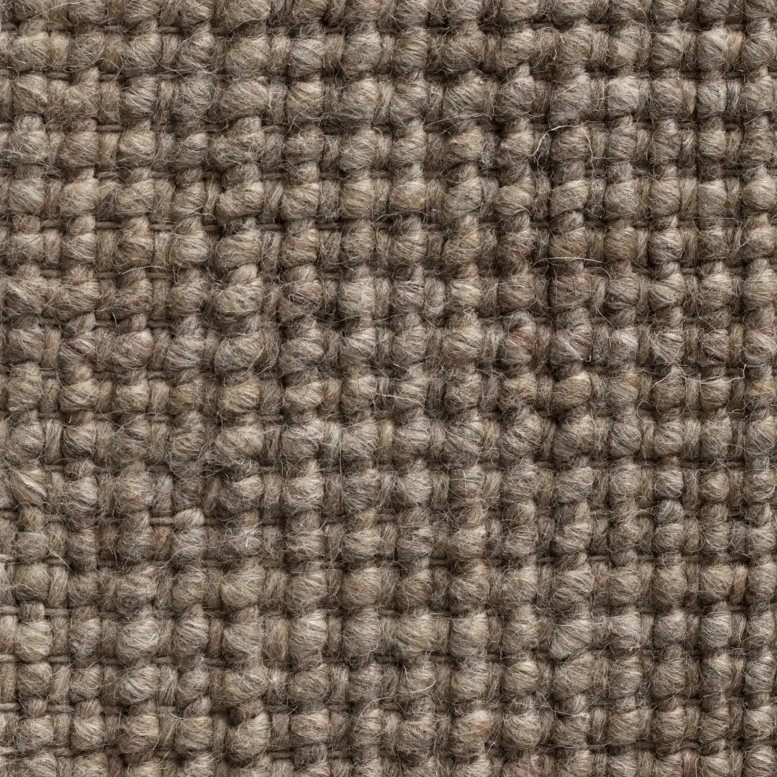 Collect Rug
