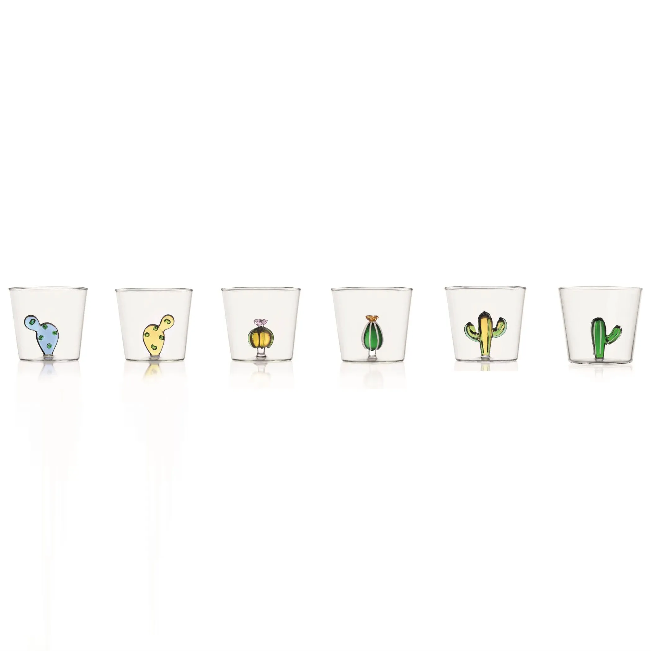 Desert Plants Tumbler (Set of 6)