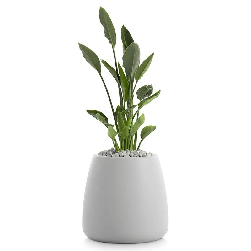 Gobi Planter 1