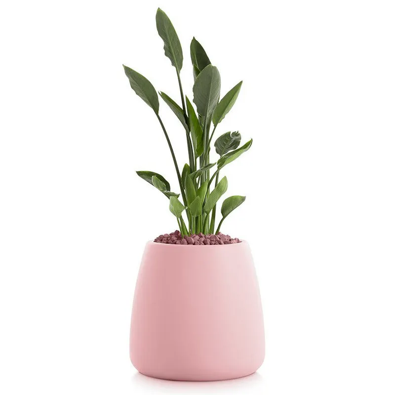 Gobi Planter 1
