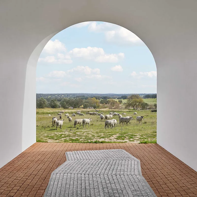 Lines Rug