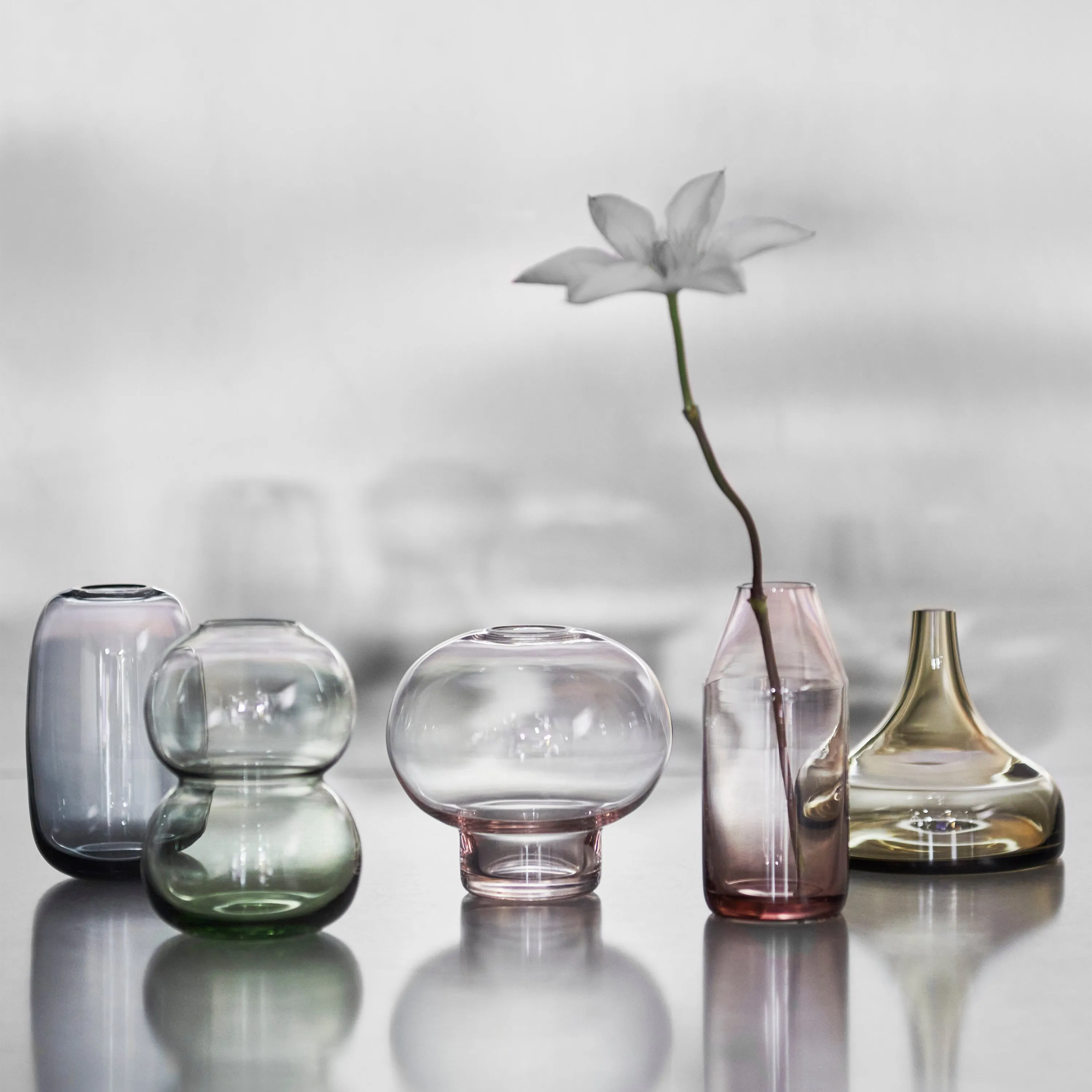 Midsummer Mini Cow Vetch Vase