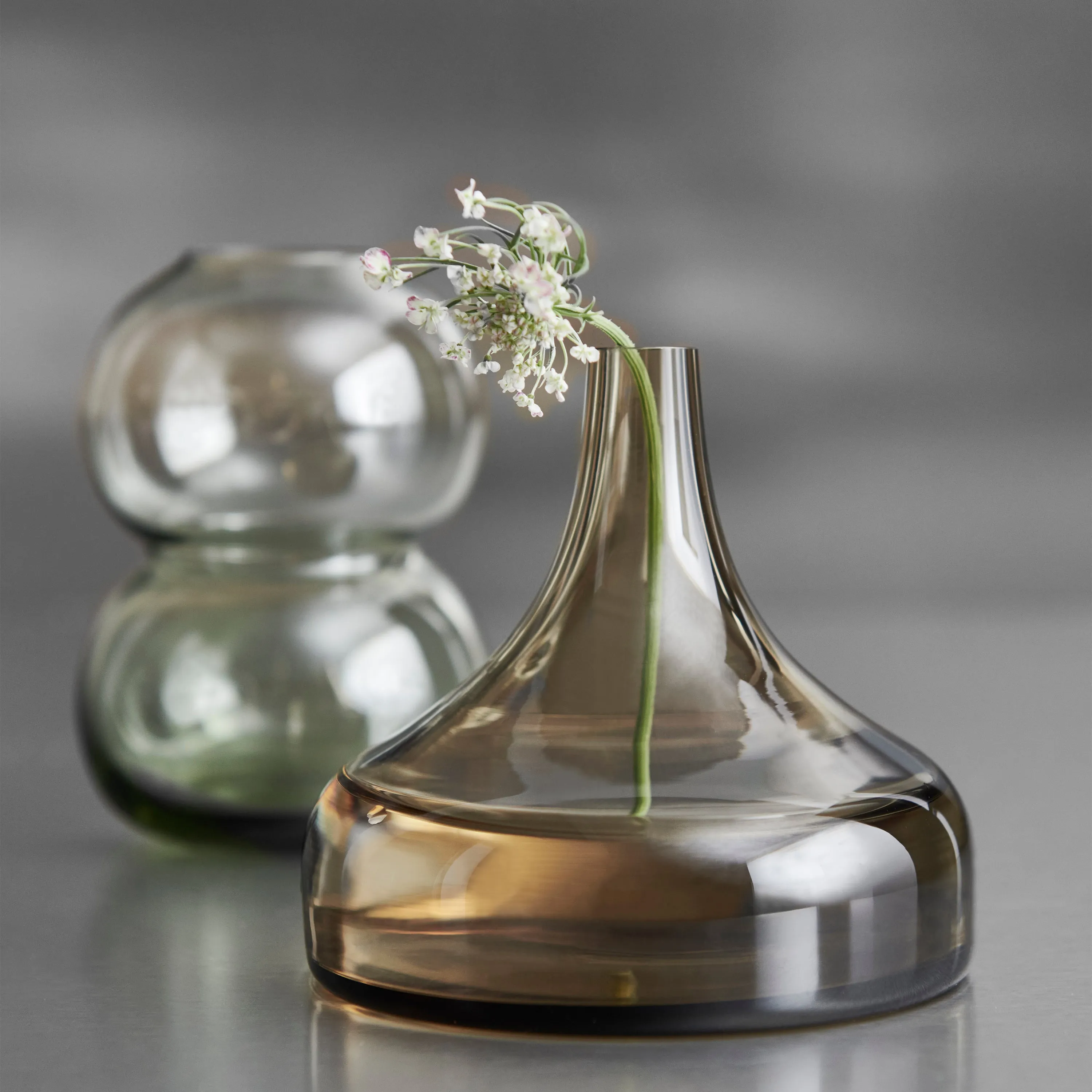 Midsummer Mini Cow Vetch Vase