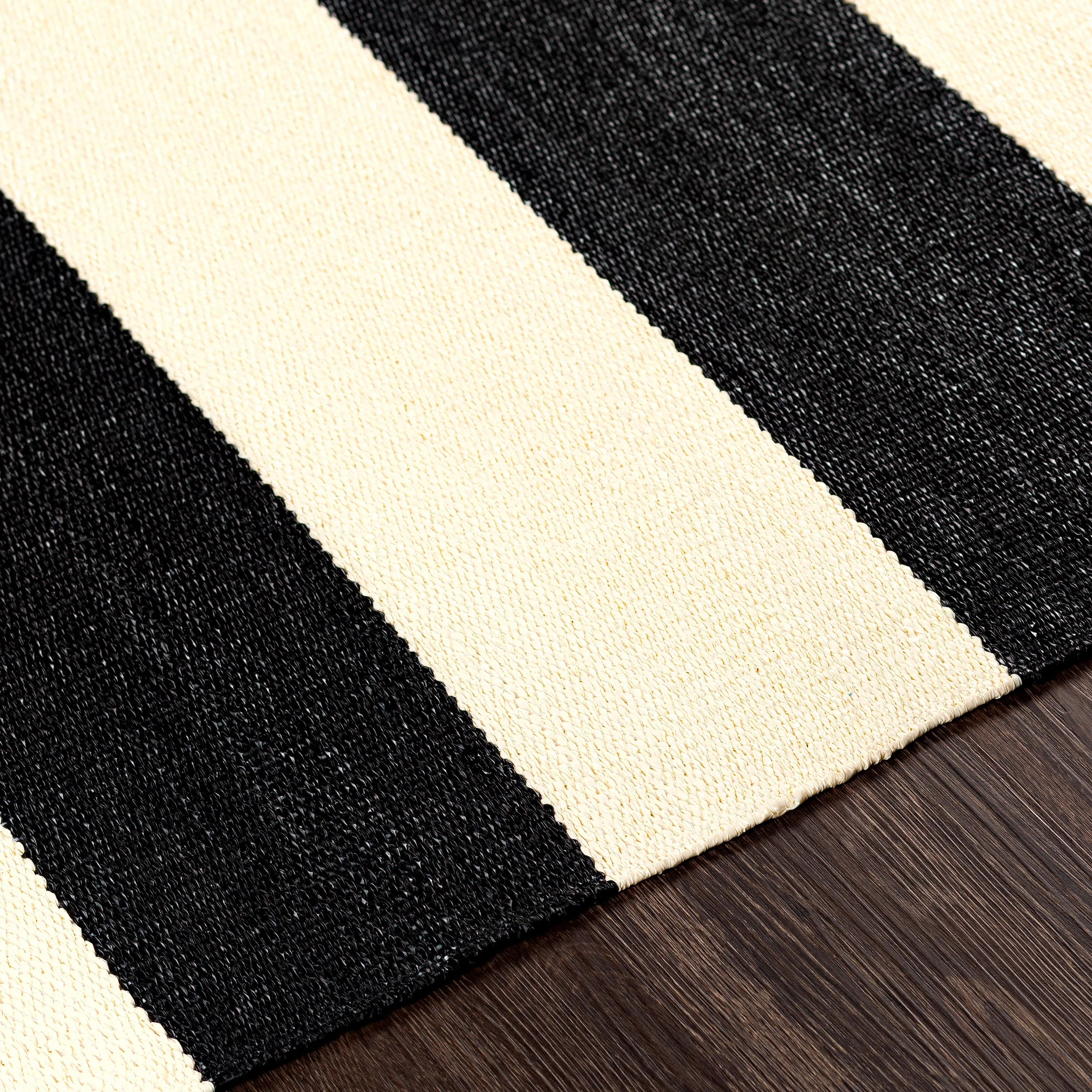 Picnic Indoor/Outdoor Rug