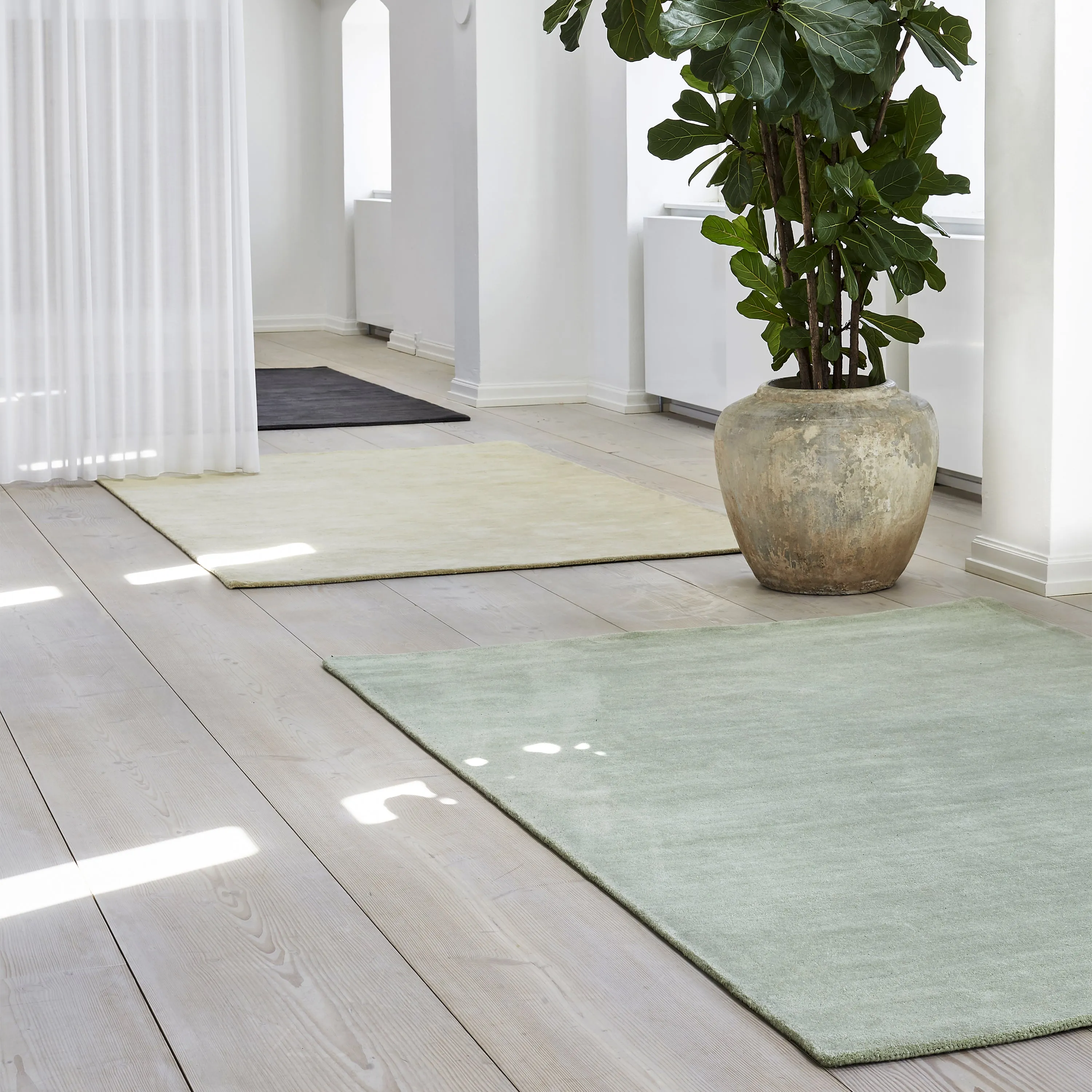 Repeat Rug