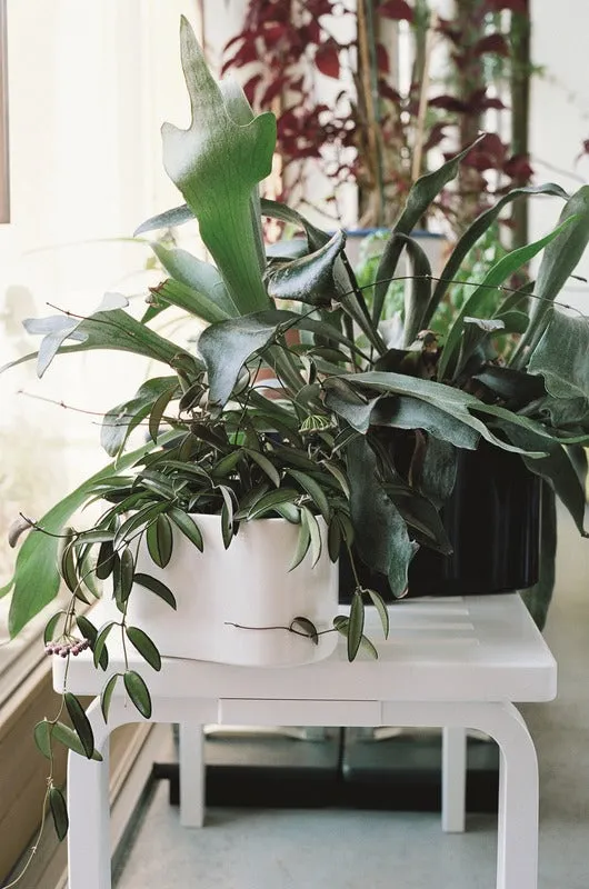 Riihitie Plant Pot Shape A