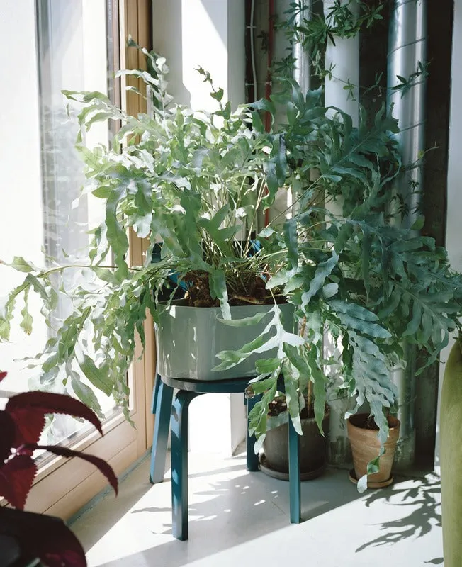 Riihitie Plant Pot Shape A