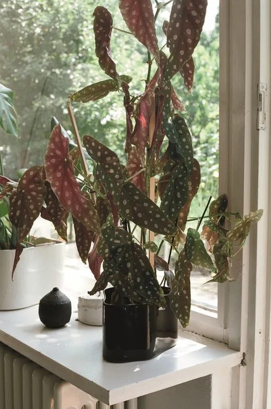 Riihitie Plant Pot Shape A