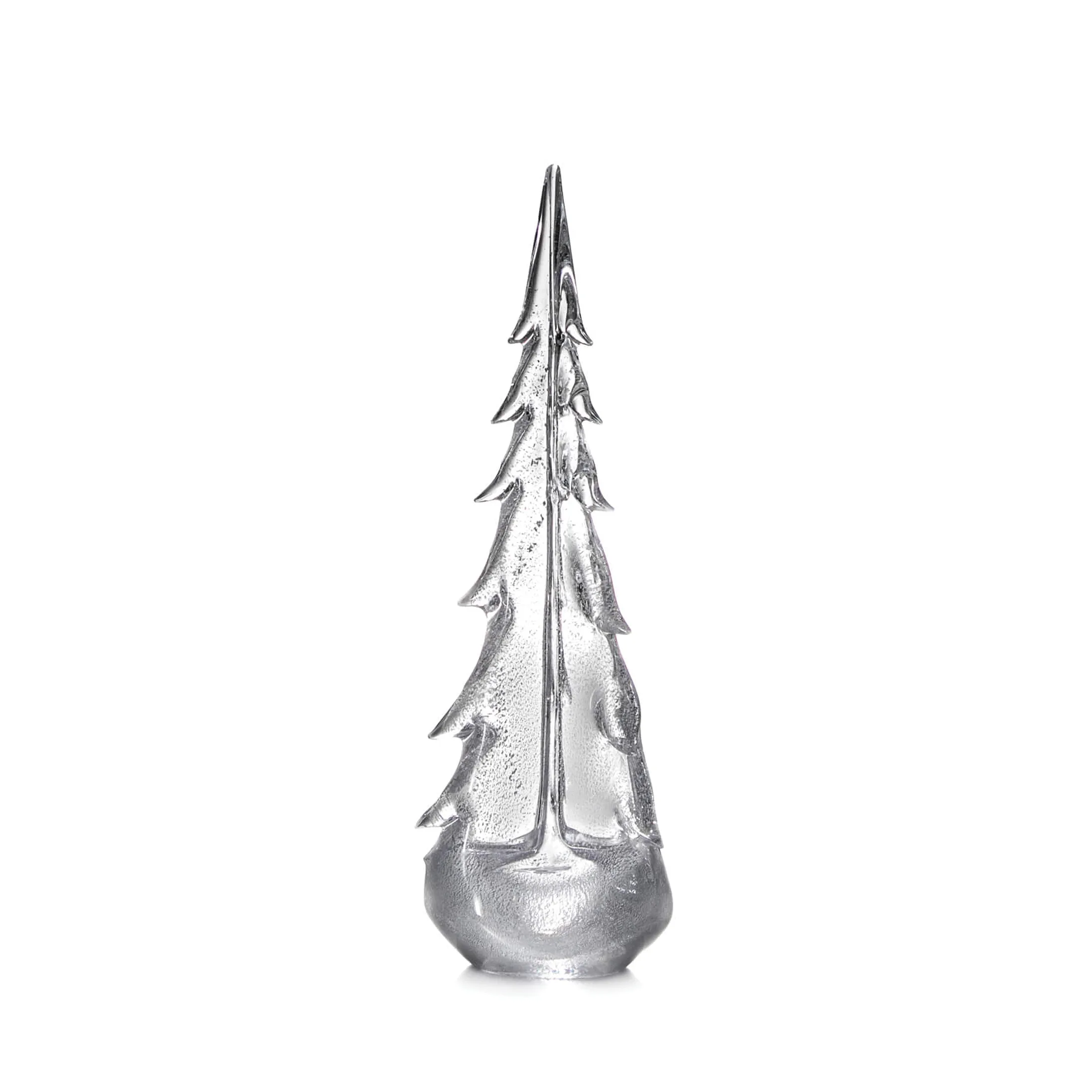 Silver Leaf Evergreen Tree