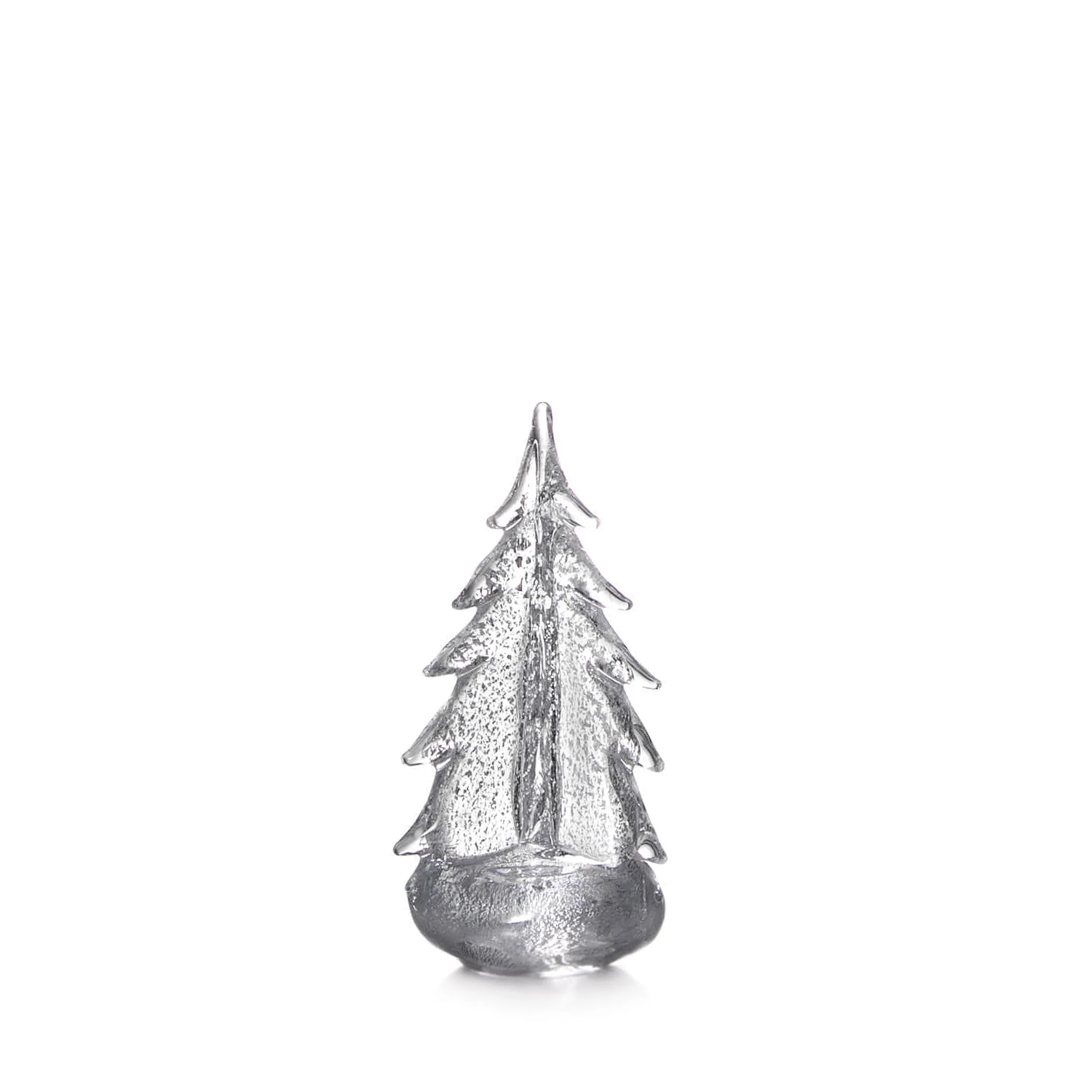 Silver Leaf Evergreen Tree
