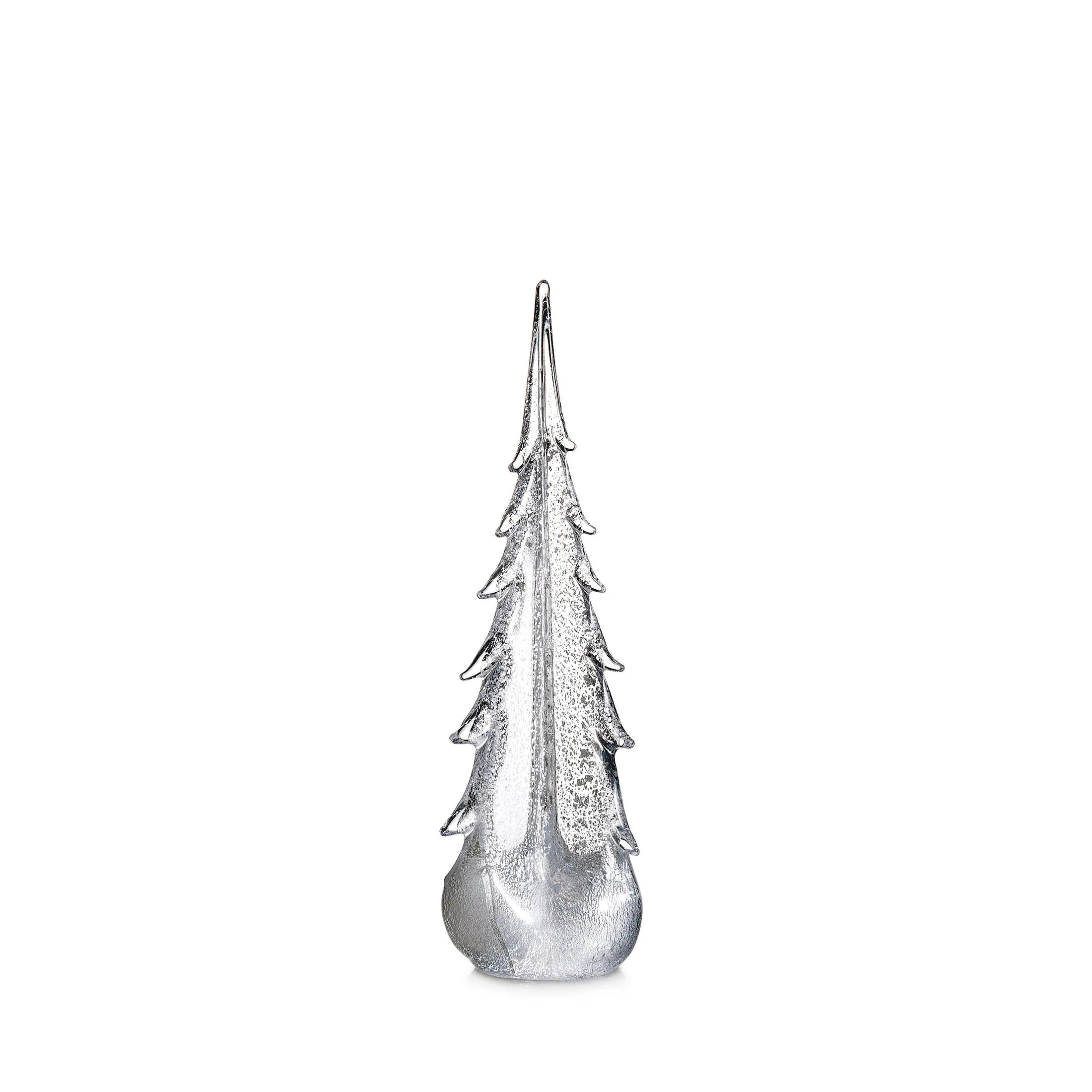 Silver Leaf Evergreen Tree
