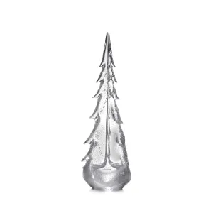 Silver Leaf Evergreen Tree