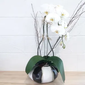 Sphere Planter