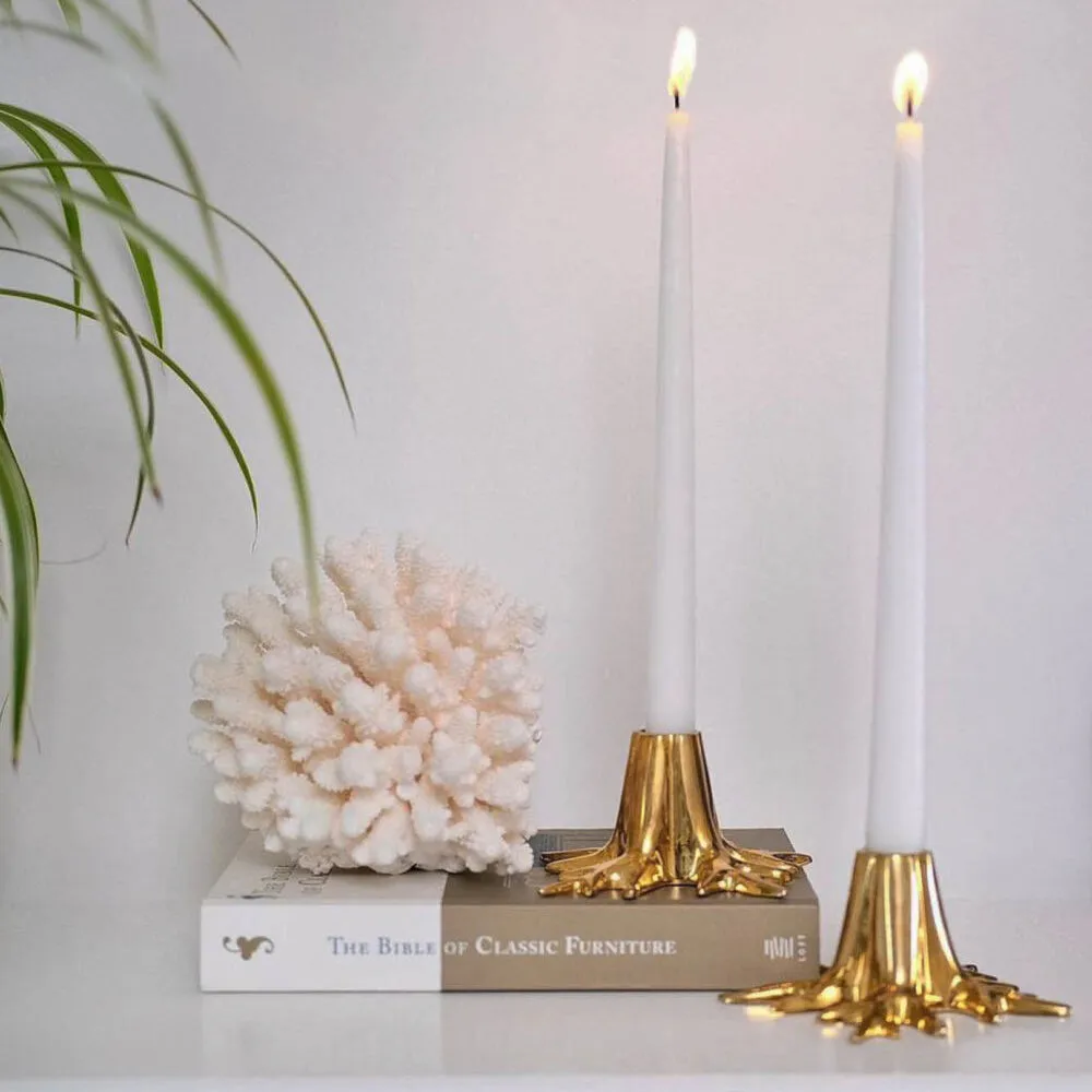 The Root Candle Holder