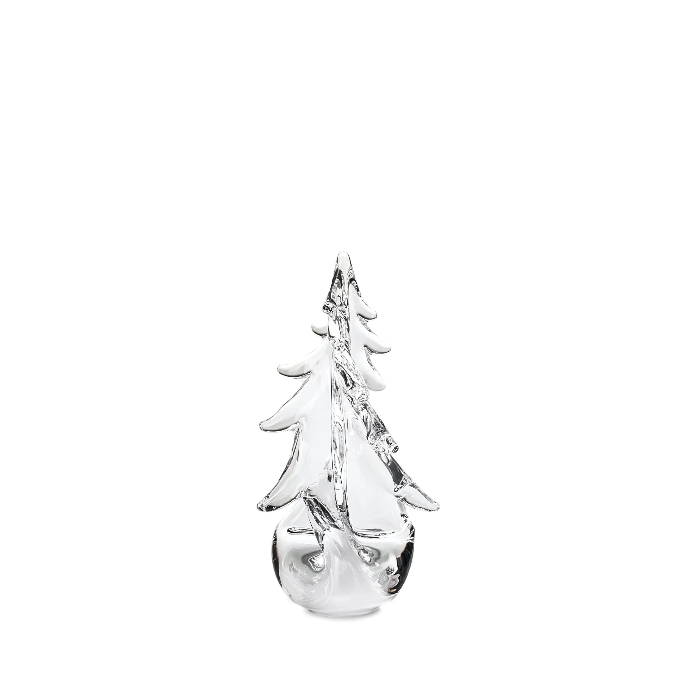 Vermont Twist Evergreen Tree